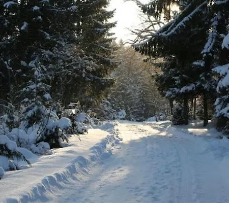 Detached Bungalow With Dishwasher In A Green Area Hébergement de vacances