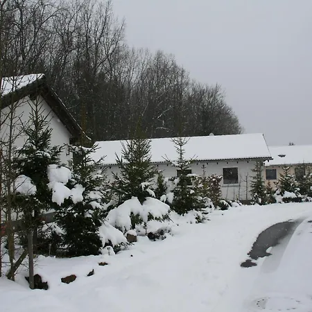 Hébergement de vacances Detached Bungalow With Dishwasher In A Green Area